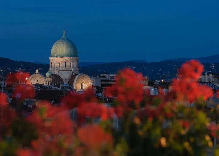 Cardinal Of - Recommended For Ages 25 To 55 3* Floransa