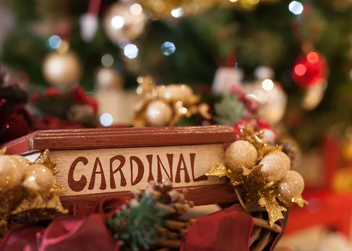 Otel Cardinal Of - Recommended For Ages 25 To 55 Floransa