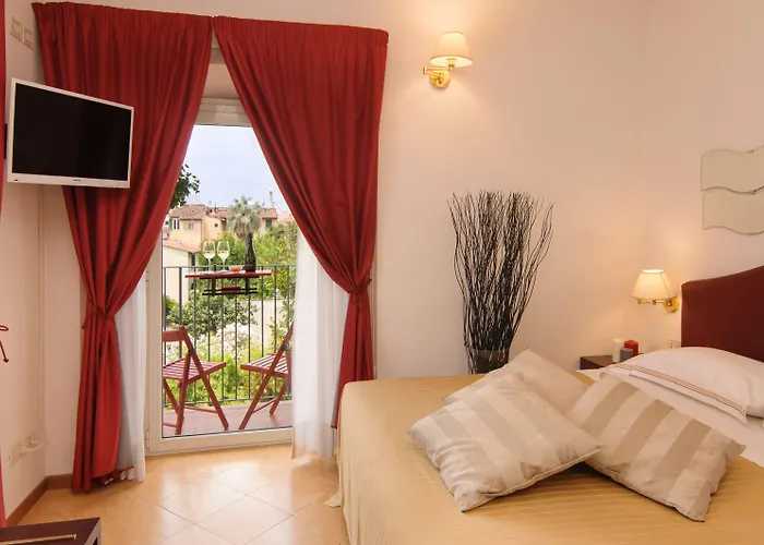 Cardinal Of - Recommended For Ages 25 To 55