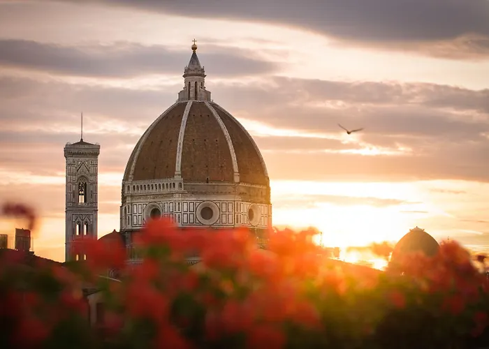 Cardinal Of - Recommended For Ages 25 To 55 3* Floransa