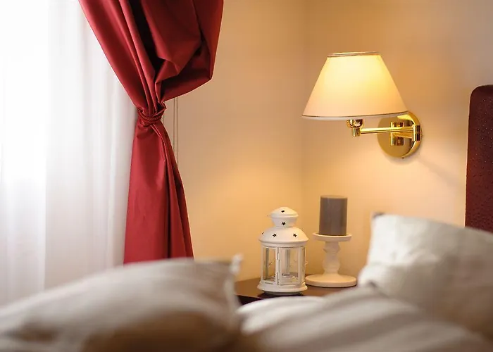 Cardinal Of - Recommended For Ages 25 To 55 Floransa